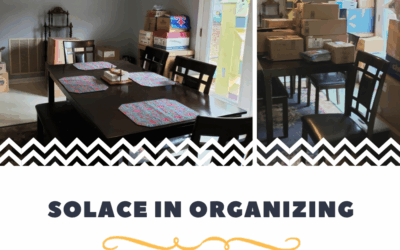Solace In Organizing